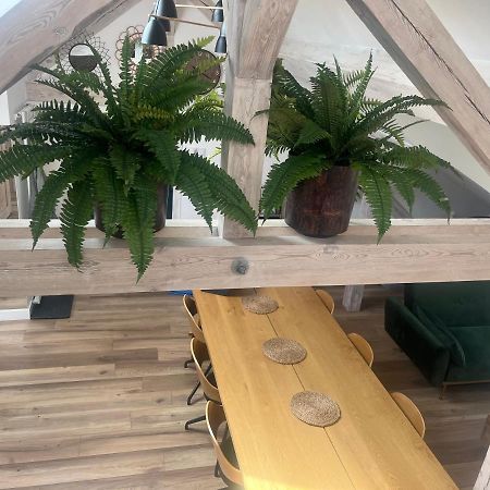 Attic Appart Stary Toruń Eksteriør bilde