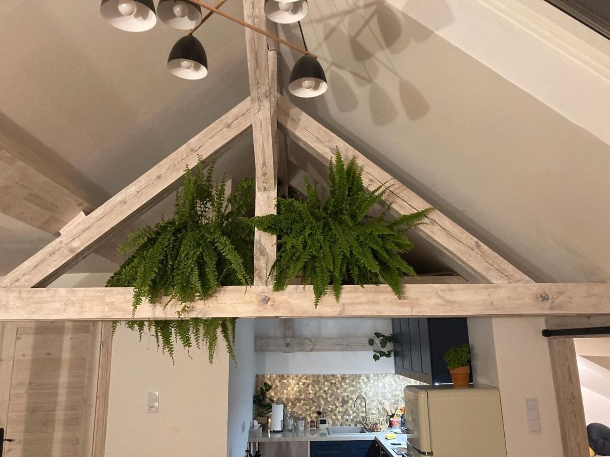 Attic Appart Stary Toruń Eksteriør bilde