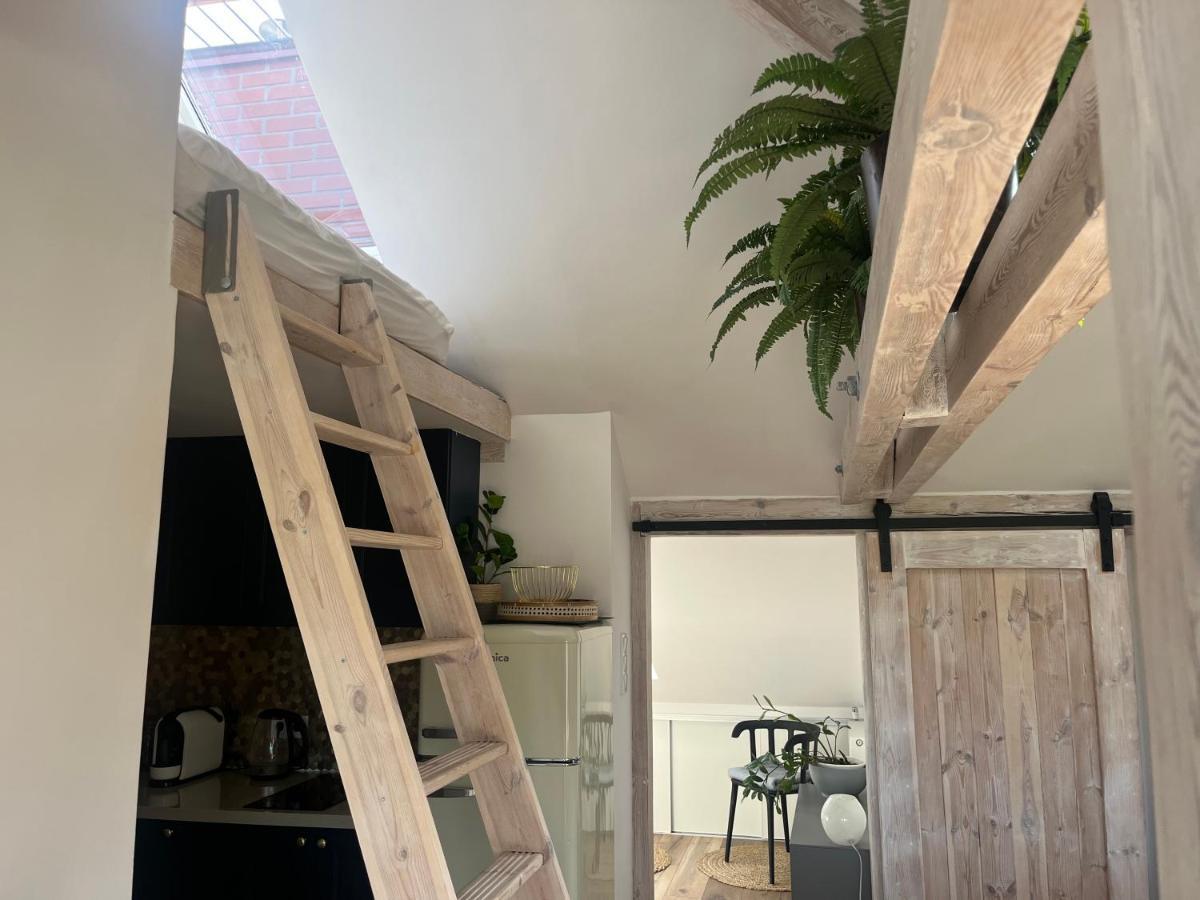 Attic Appart Stary Toruń Eksteriør bilde